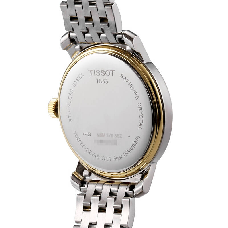 Tissot T Classic Bridgeport Silver Dial Two Tone Mesh Bracelet Watch For Men - T097.410.22.038.00 Watches Tissot   