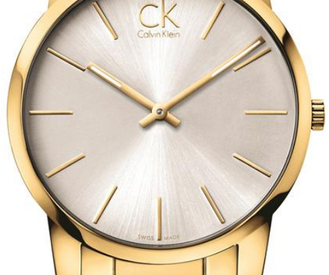 Calvin Klein City Silver Dial Gold Steel Strap Watch for Men - K2G21546 Watches Calvin Klein   