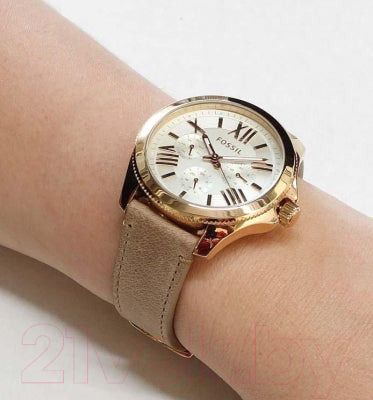 Fossil Cecile White Dial Sand Leather Strap Watch for Women - AM4532 Watches Fossil   