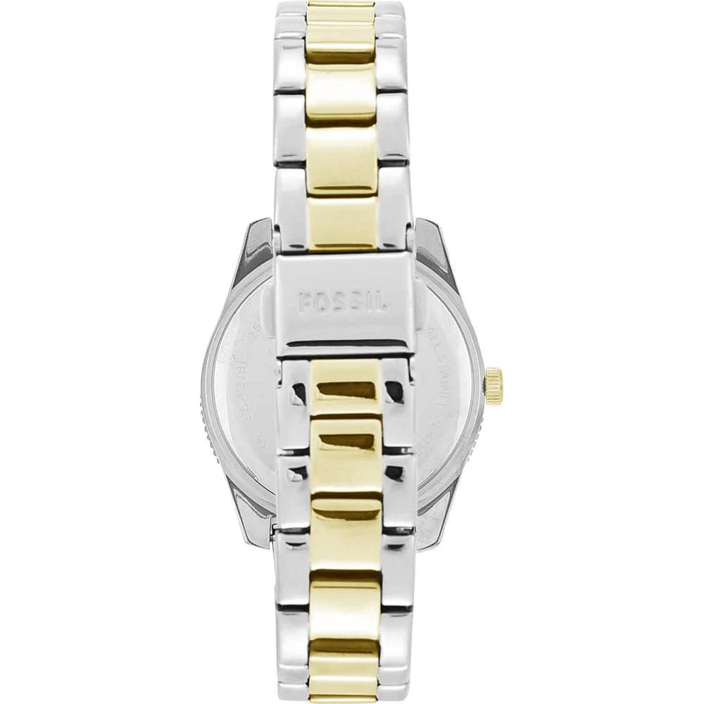 Fossil Riley White Dial Two Tone Steel Strap Watch for Women - ES3204 Watches Fossil   